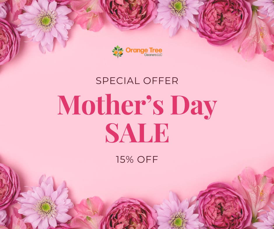 Project Celebrate Mom with the Gift of a Sparkling Clean Home – She Deserves It! image