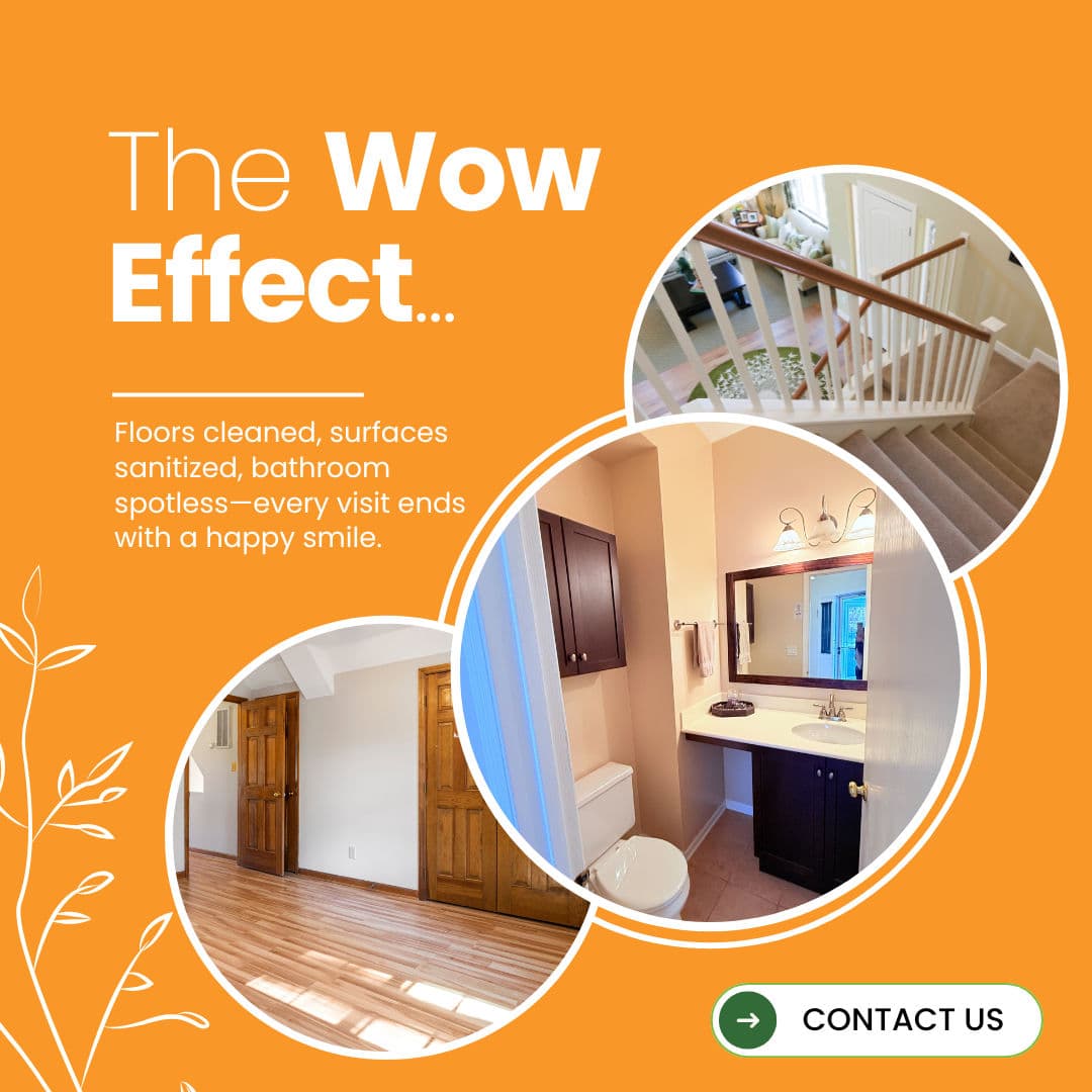 Project Experience the WOW Moment with Orange Tree Cleaners in Denver  image